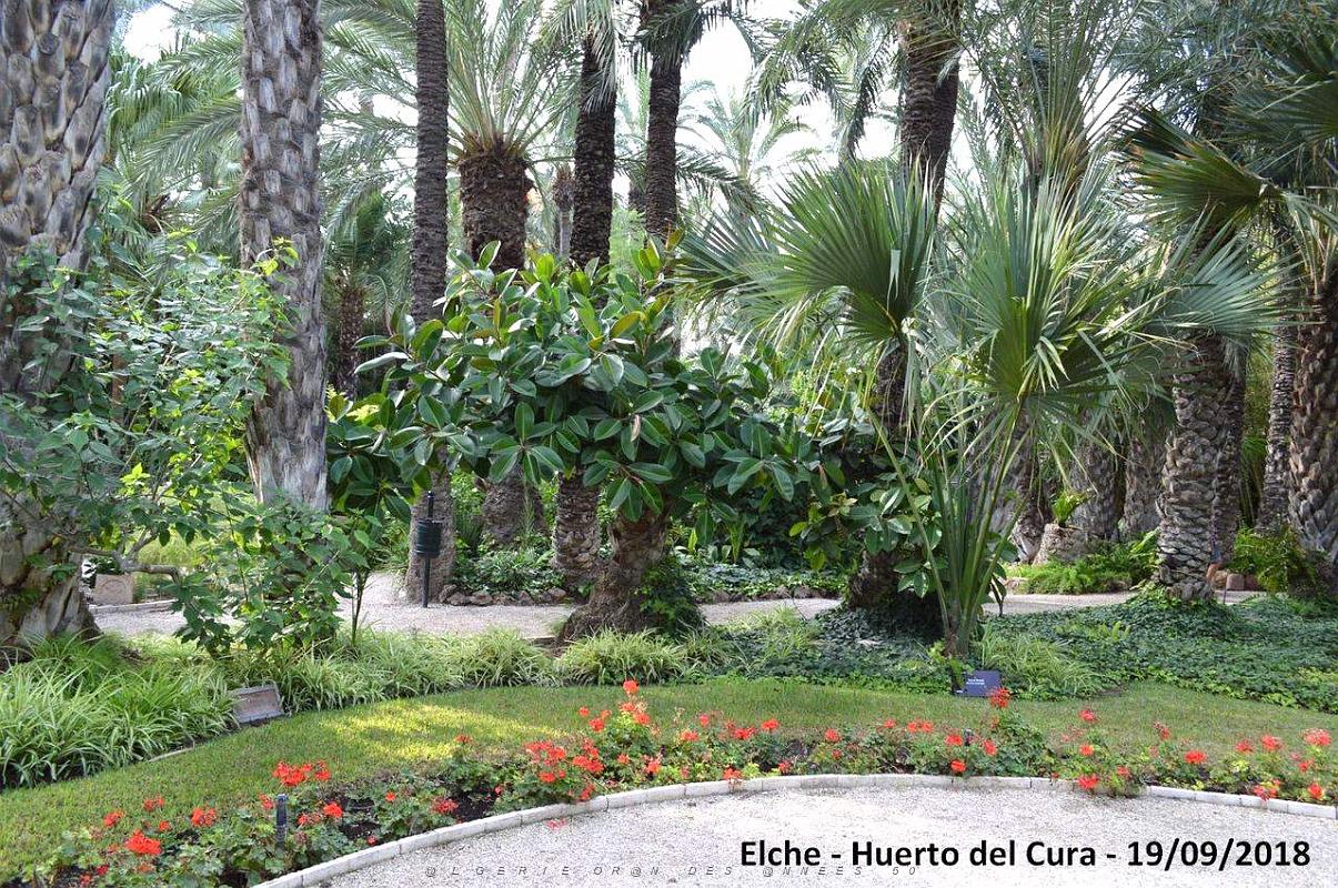 19 ELCHE HUERTO DEL CURA (129).JPG